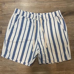 Banks Journal Blue and White Striped Shorts